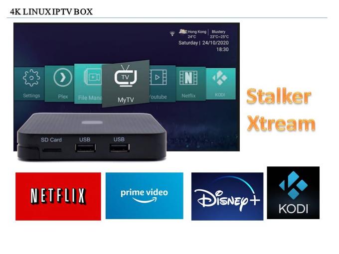 Portal Xtream Linux Iptv Box HDR10 Linux 4.9 H313 Tv Box Wifi 2 Usb